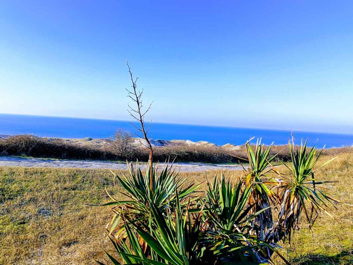 Vue sur Mer depuis le chemin de randonnée de la forêt d'Écault
