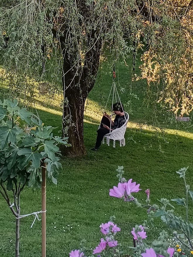 Les balancelles du jardin